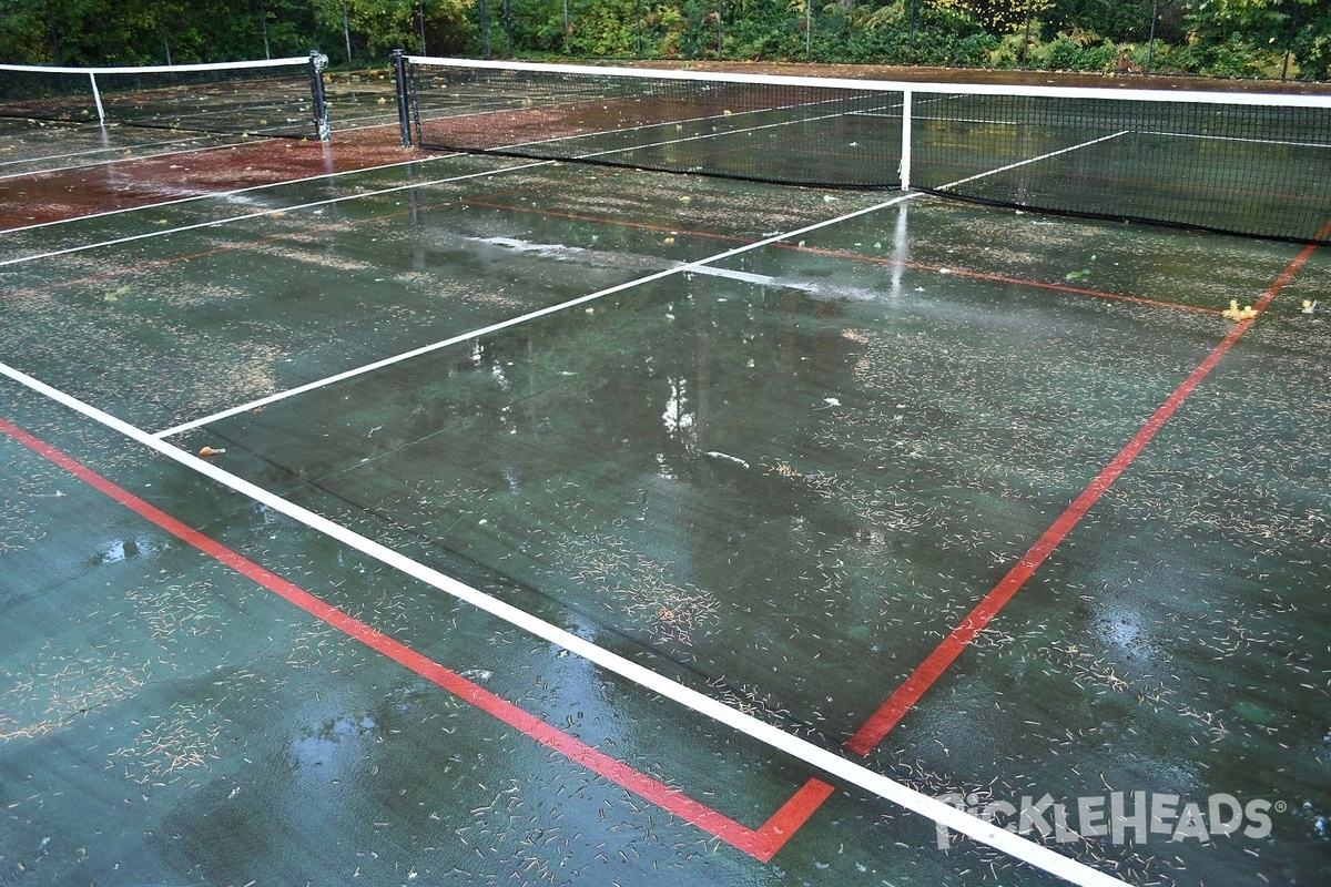 Photo of Pickleball at Hales Pass Park